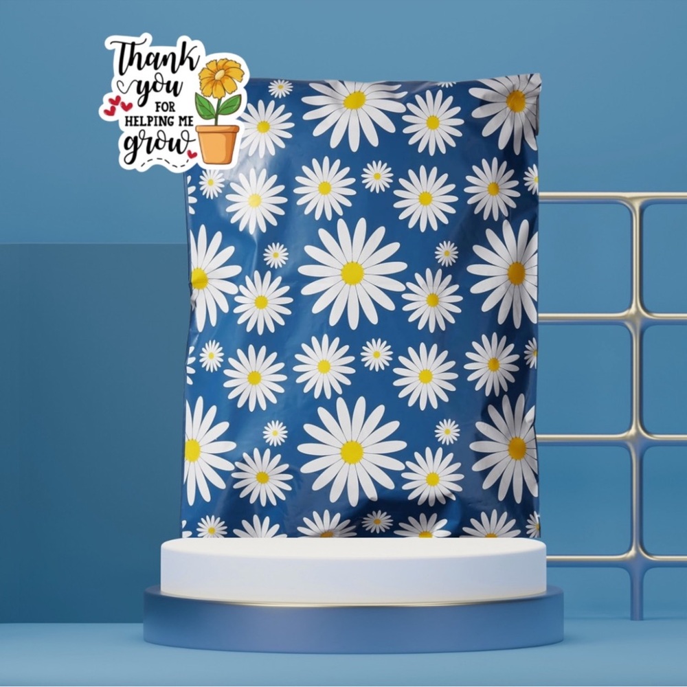 Poly mailers 10x13